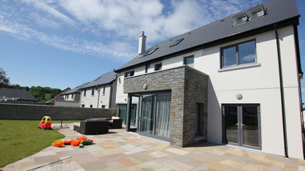 picture of Single-Family Homes and New Build 