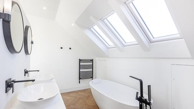 picture of Conversion and Single-Family Homes 