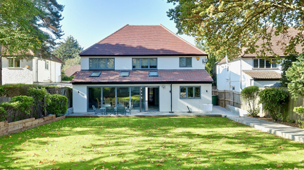 picture of Single-Family Homes and New Build 