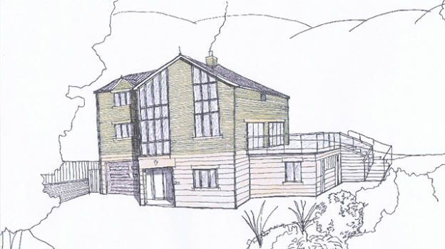 picture of Single-Family Homes and New Build 