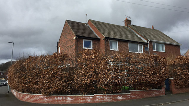 picture of Restoration and Single-Family Homes 