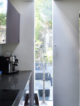 picture of Single-Family Homes and Townhouse 